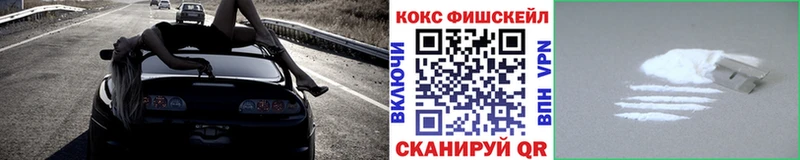 Кокаин Fish Scale  где купить наркоту  Камешково 