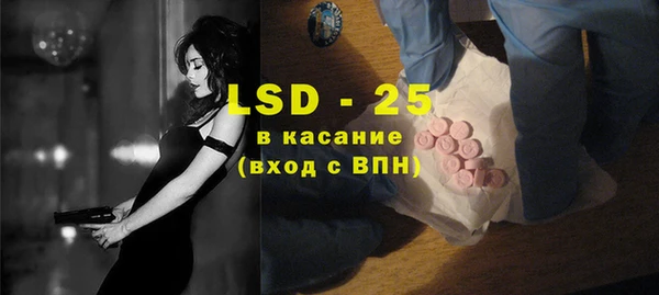 гашик Верея
