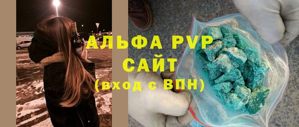 гашик Верея