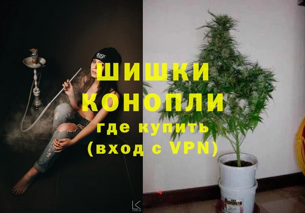 сатива Володарск