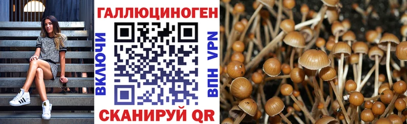 Галлюциногенные грибы прущие грибы купить закладку OMG вход Камешково